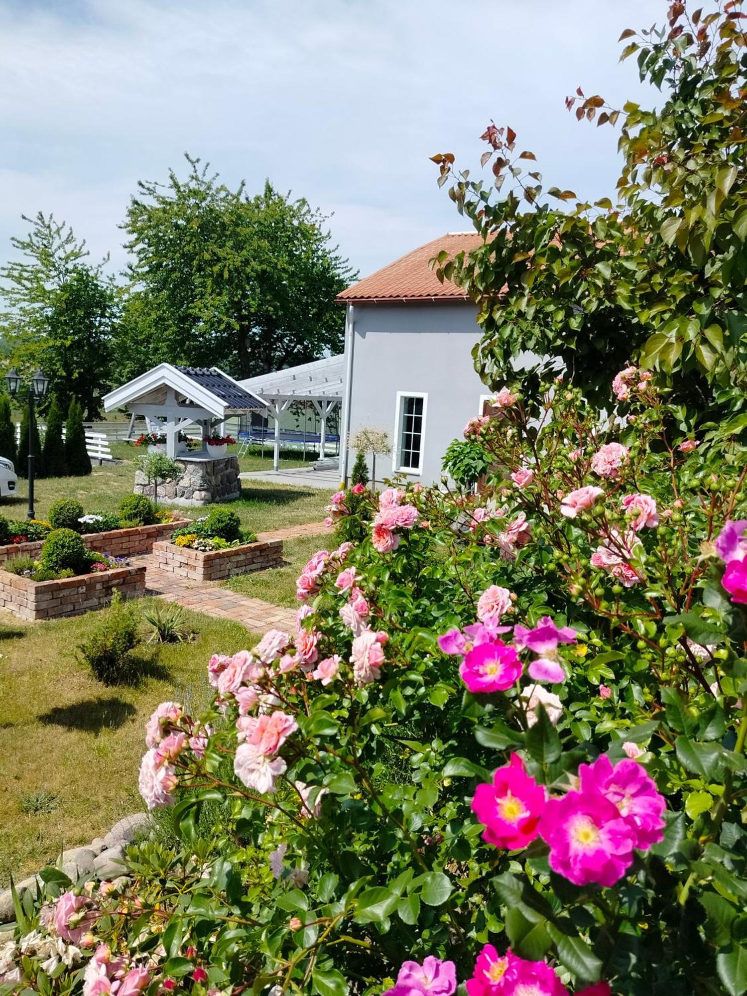 Agroturystyka Rybno Rybno  Exterior foto